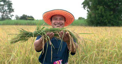 ANI-CARE Farmer